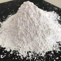 Paris Mould