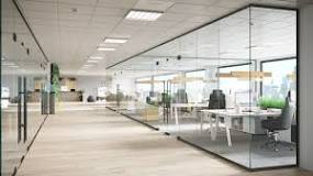 Frameless Glass Doors
