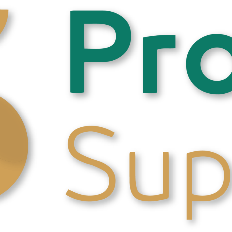 PS Logo